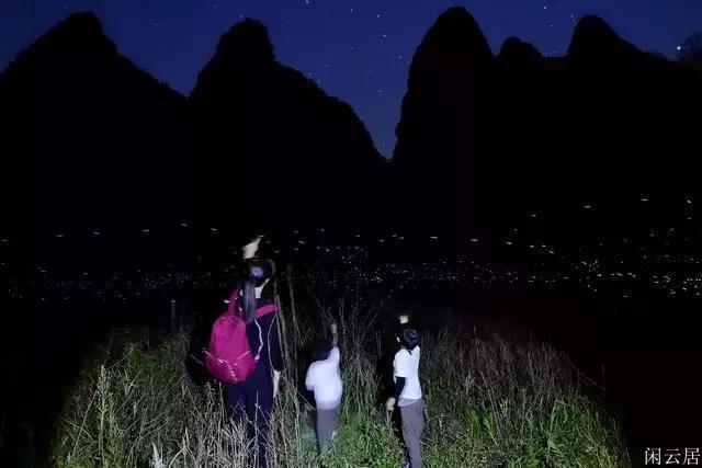 汇丰银行张劲秋:回购业务参与者范围进一步扩大 有助于满足更多境外投资者流动性管理需求